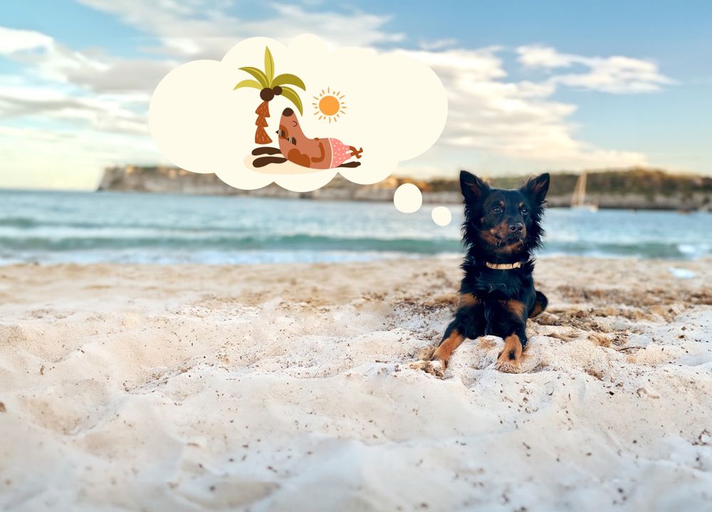 Pablo träumt vom Reisen, Hund mit Denkblase 