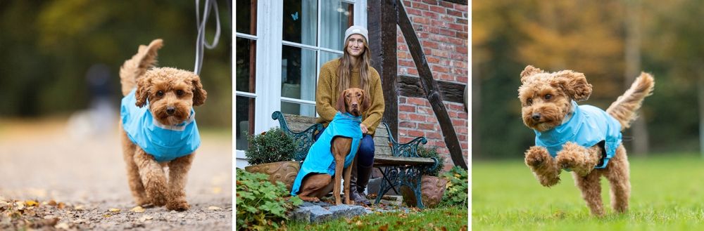 Galerie Modern Classic