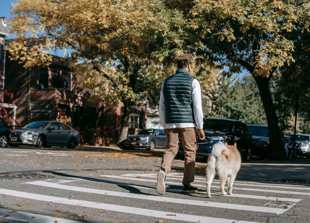 Mann läuft mit Hund durch Stadt