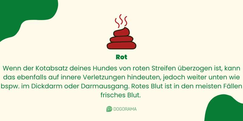 Roter Kotabsatz