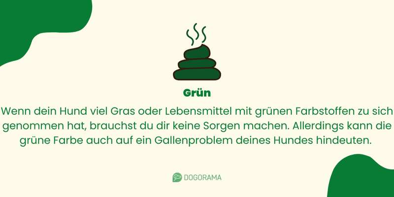 Gr&uuml;ner Kotabsatz