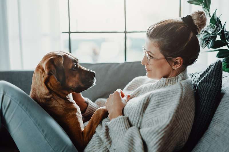Frau und Hund kuscheln auf der Couch