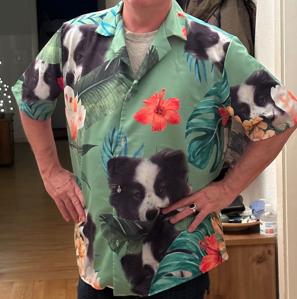 Mann mit Hawaii Shirt mit Gesicht von Hund