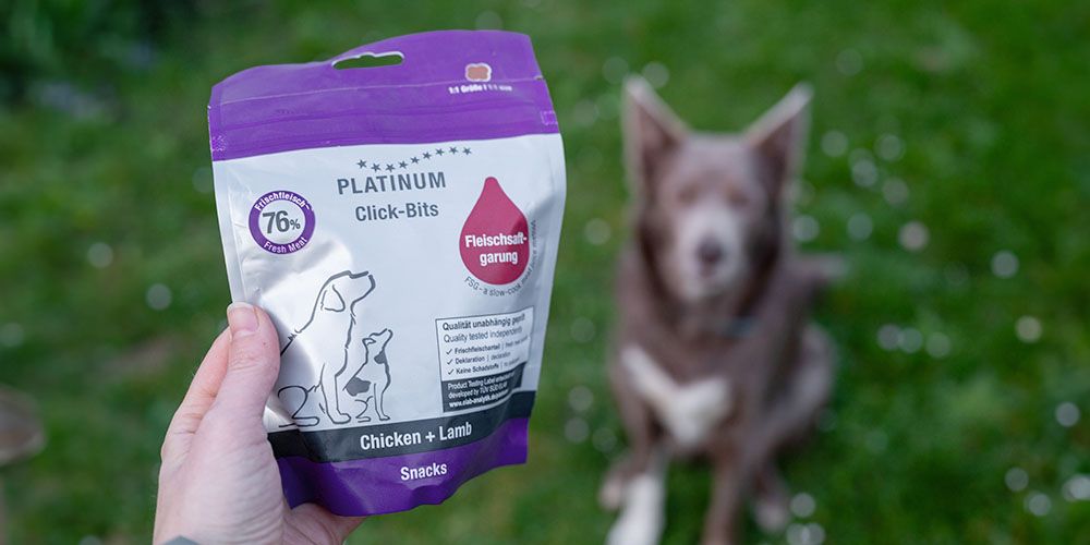 Die Click-Bits neben einem Hund