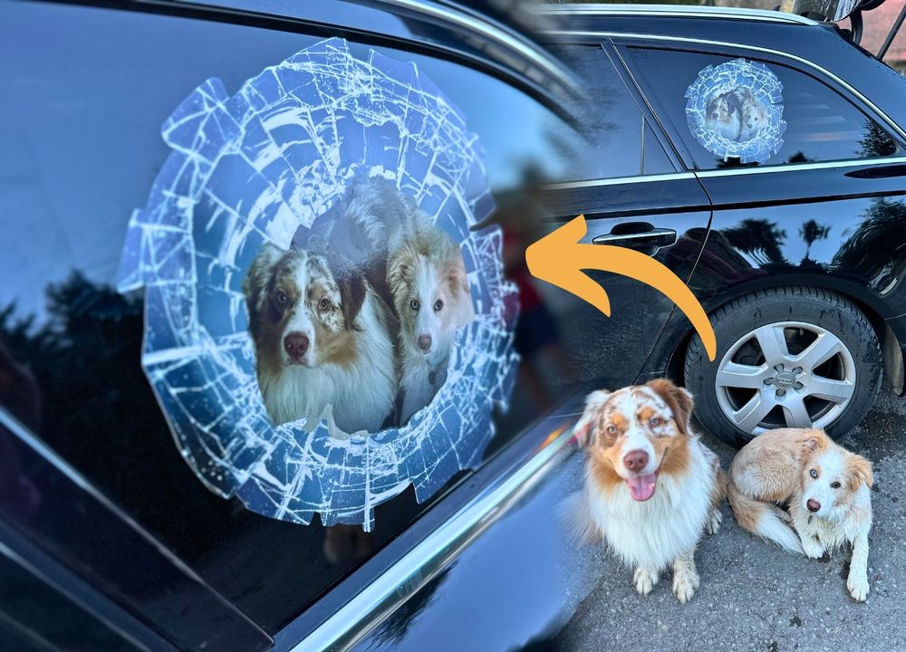 Bild des Autoaufklebers