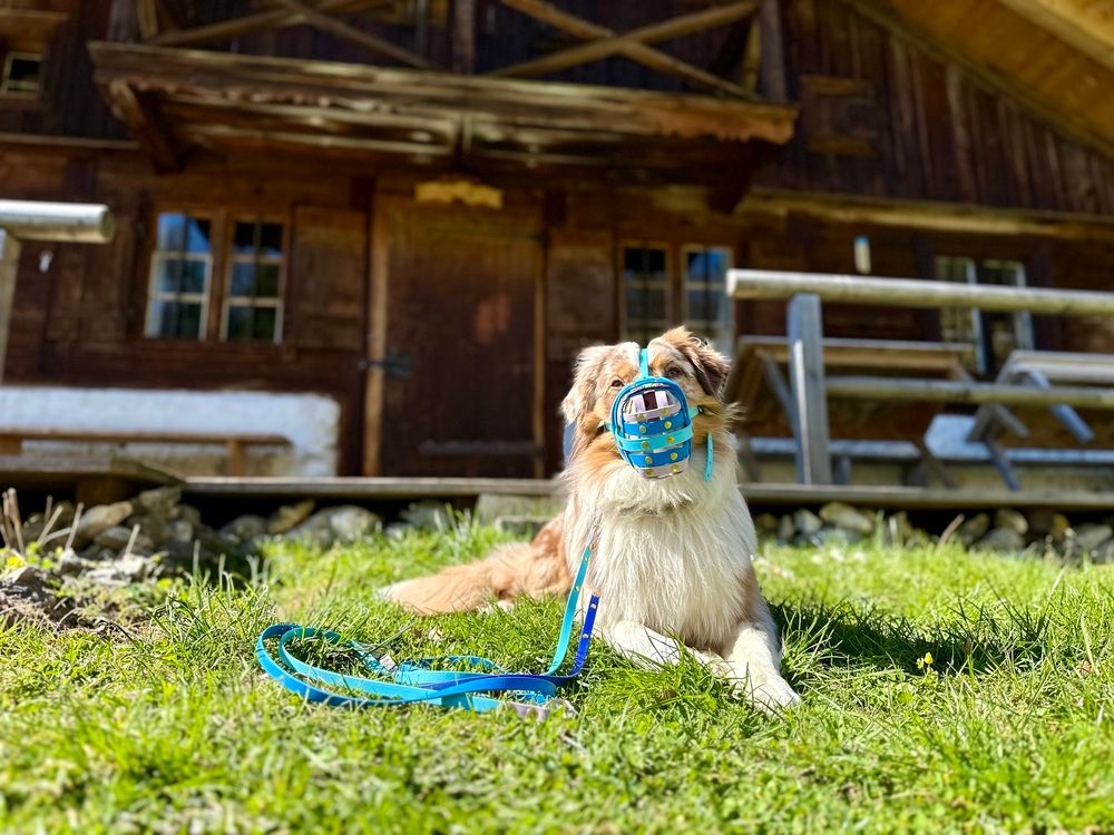 Luki mit dem Set von BUMAS vor einer Almhütte