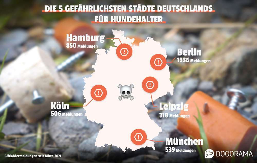 Presse-Die gefährlichsten Städte für Hunde in Deutschland: Dogorama veröffentlicht aktuelles Giftköder-Ranking-Bild
