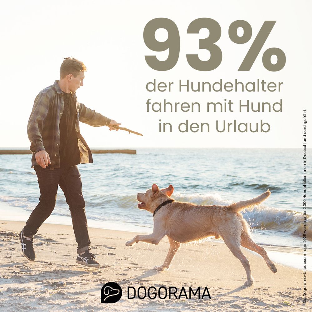 Mehr als 93 Prozent der Hundehalter fahren mit ihrem Hund in den Urlaub.