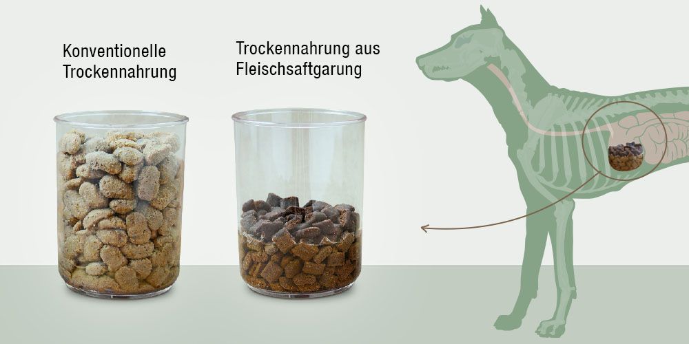 Infografik Trockenfutter im Vergleich