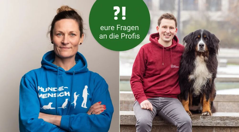 Hundetraining: Heike Kleinhans und Marcel Wunderlich 