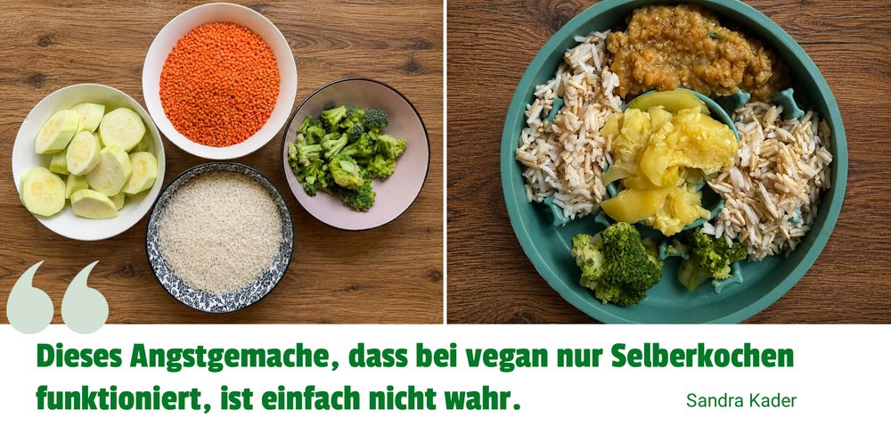 Banner 2: Vegane Ern&auml;hrung bei Hunden