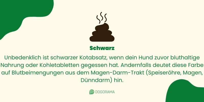 Schwarzer Kotabsatz