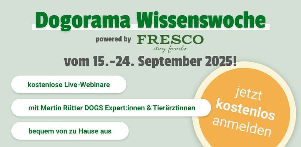 Presse-Dogorama Wissenswoche 2025: Wissen für ein besseres Miteinander von Mensch und Hund -Bild