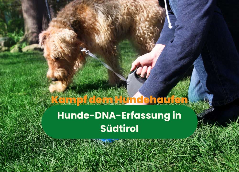 Blog-Südtirol sagt Hundehaufen den Kampf an: DNA-Erfassung soll die Lösung sein-Bild