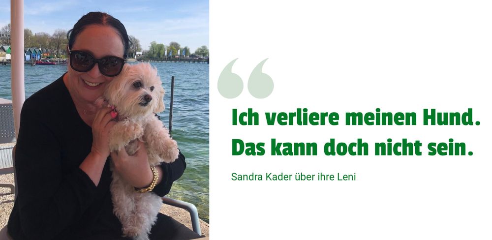 Banner 1 Vegane Ern&auml;hrung f&uuml;r Hunde