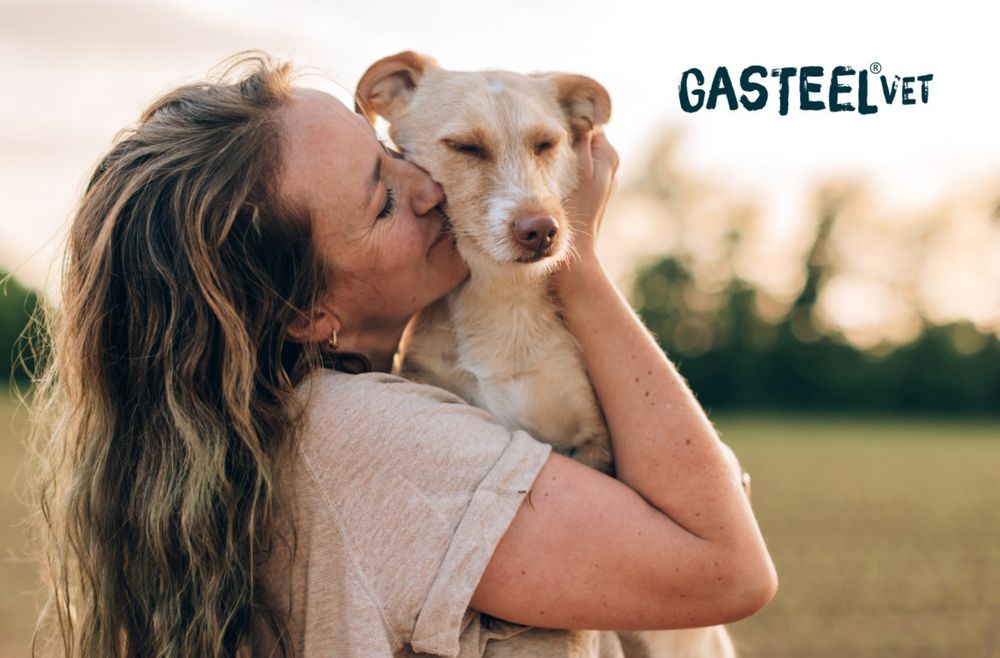 Bild von Frau mit Hund auf dem Arm