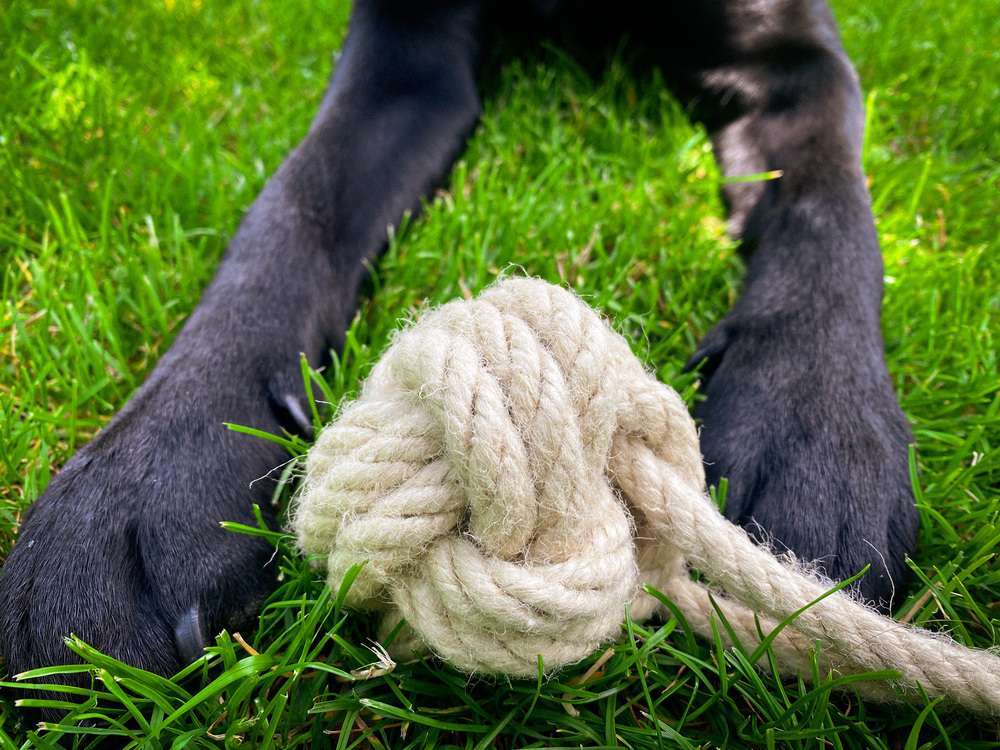 Blog-DIY Hundespielzeug - Affenfaustknoten als Wurfspielzeug-Bild