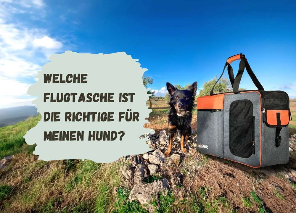 Blog-Flugtasche für Hunde - sicheres, komfortables und regelkonformes Reisen mit deinem Hund-Bild