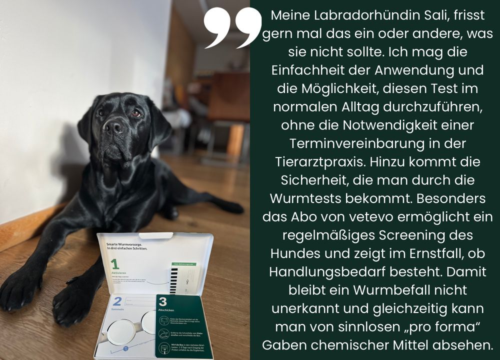 Sali mit dem vetevo Wurmtest und Bewertung