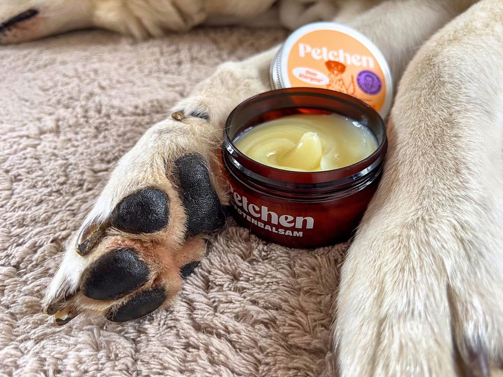 Pfotenbalsam der nicht klebt Empfehlungen Petchen