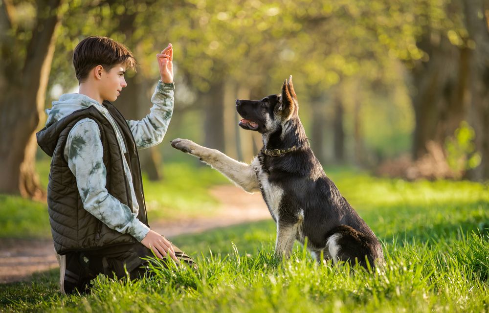 Teenager macht mit Hund Tricks