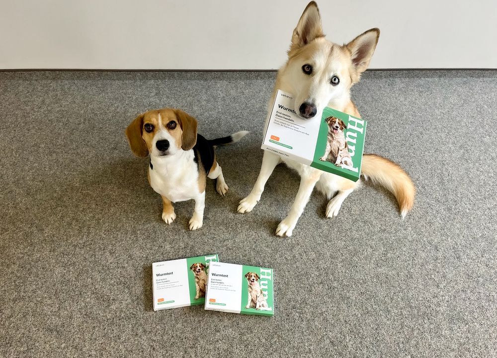 Kaya und Emma mit dem vetevo Wurmtest