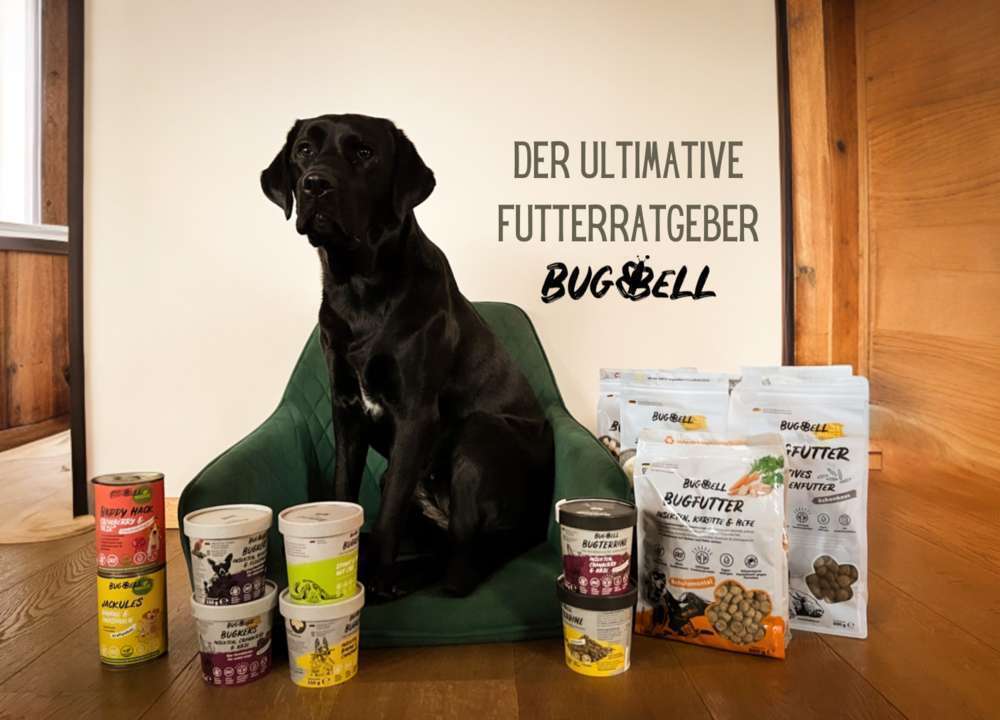 Blog-Der ultimative Futter-Ratgeber: Finde das perfekte Futter für deinen Vierbeiner!-Bild