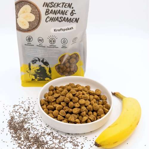 Kraftpaket Trockenfutter von bugbell