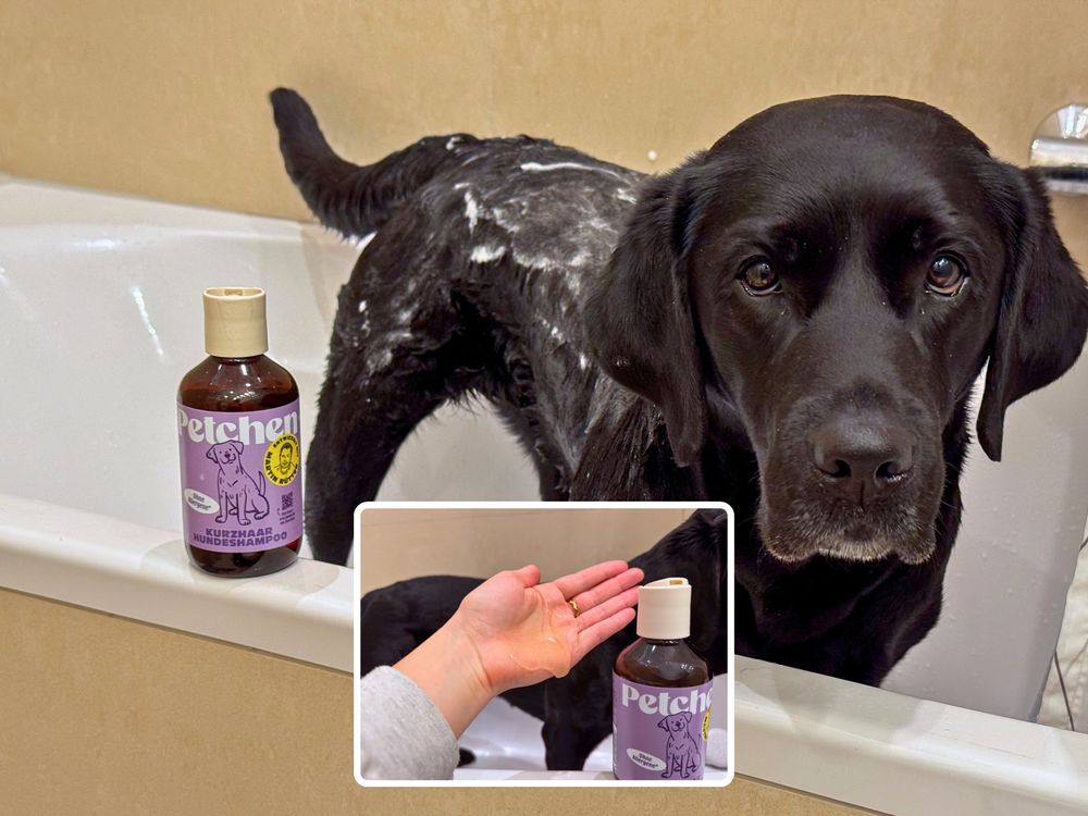 Hundeshampoo mit wenigen Inhaltsstoffen Empfehlungen Petchen