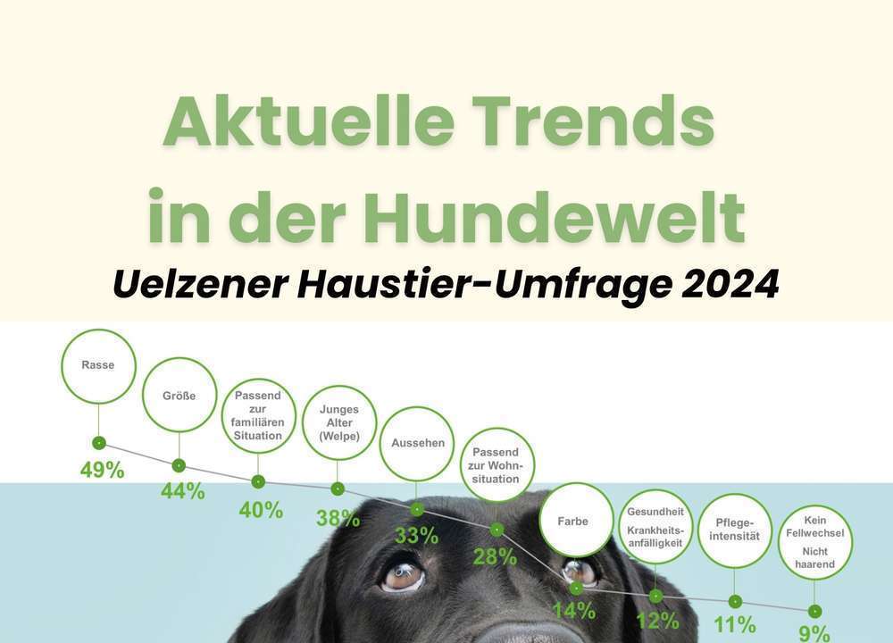 Sind unsere Hunde immer schlechter erzogen | spannende Zahlen der Uelzener Haustierstudie 