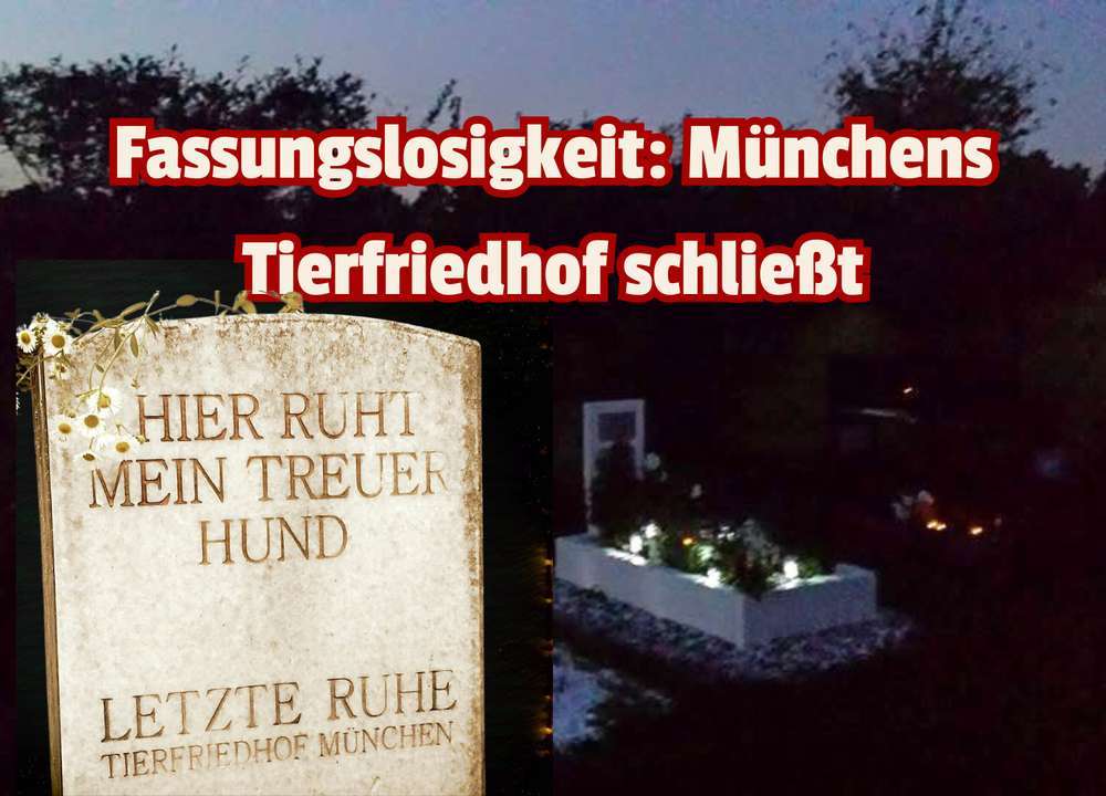Blog-Münchens Tierfriedhof schließt und lässt trauernde Hundeeltern hilflos zurück -Bild