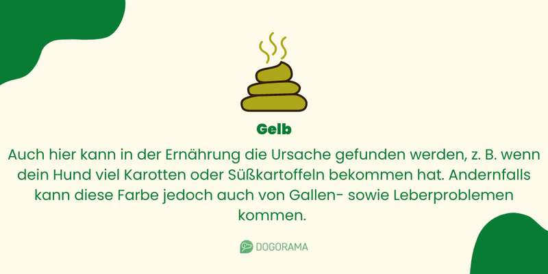 Gelber Kotabsatz