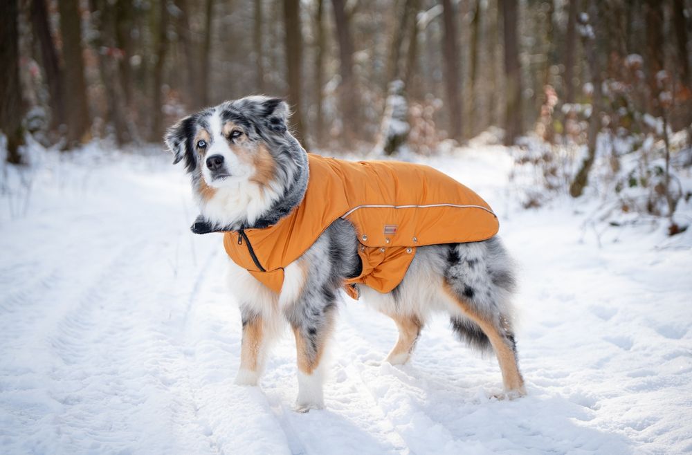 Amundsen Winterjacke