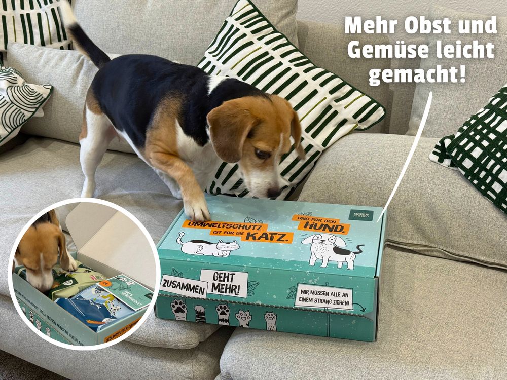 Emma mit der Box von Green Petfood