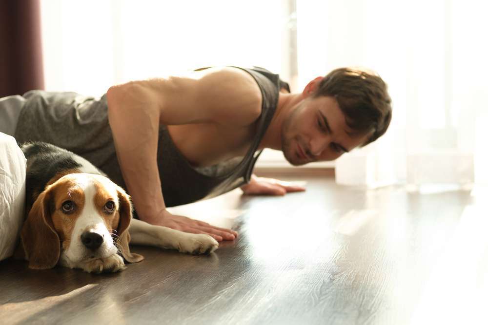 Blog-Doga - Hundeyoga: Entspannung und Harmonie für dich und deinen Hund-Bild