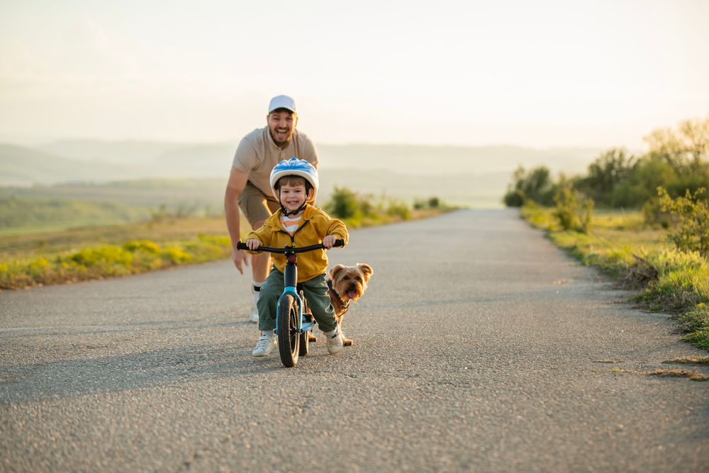 Bild von Kleinkind auf Laufrad und Hund dahinter
