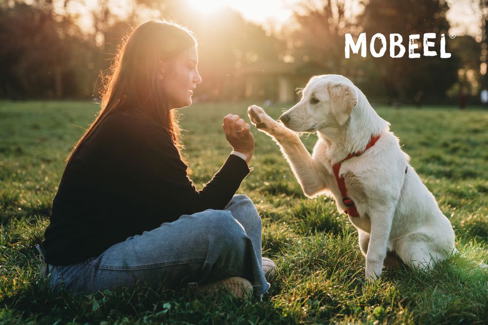Kampagnenmotiv Mobeel