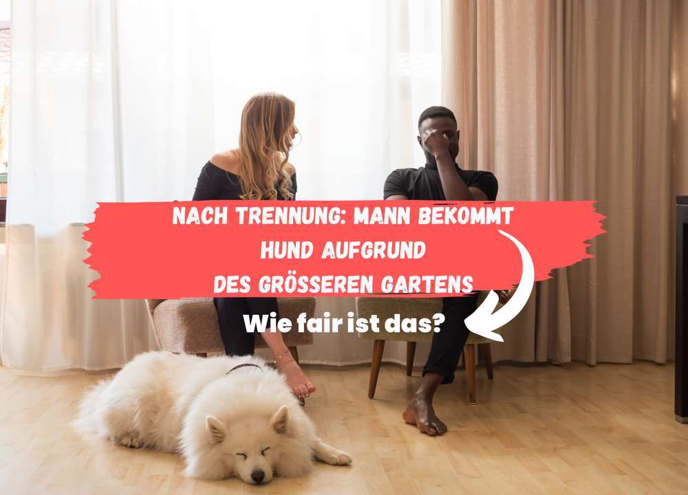 Blog-Braucht ein Hund wirklich einen Garten? Das Amtsgericht Marburg findet schon und zwingt Ex-Frau zur Herausgabe des Hundes-Bild