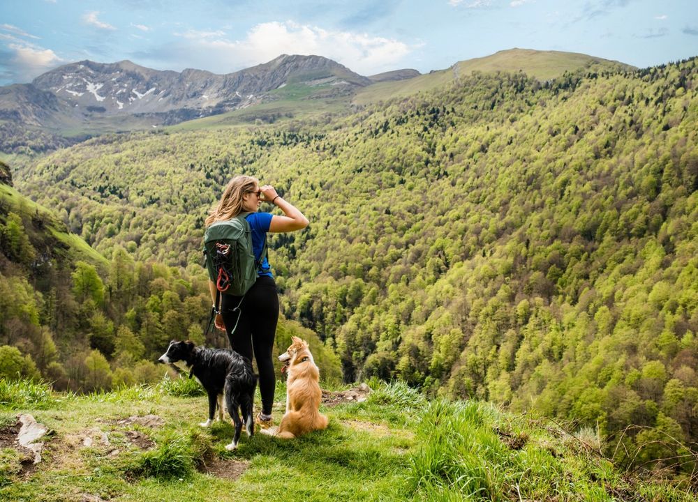 Frau mit zwei Hunden wandert