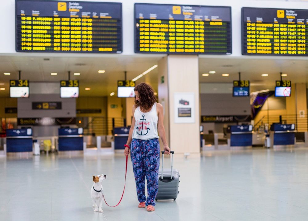 Frau mit Hund am Flughafen 