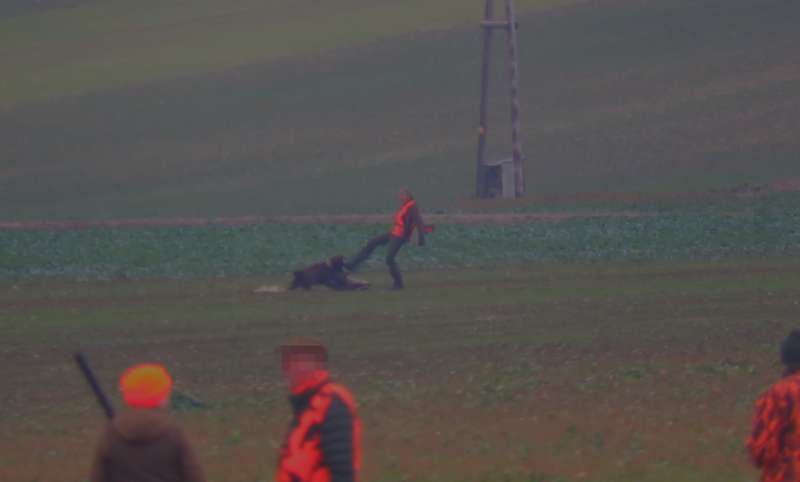 J&auml;ger tritt Hund w&auml;hrend einer Treibjagd