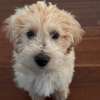 Verfasser-Bild