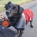 Ersteller:in Marisa Profilbild