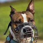 Ersteller:in Florian Profilbild