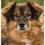 Ersteller:in Sabine Profilbild