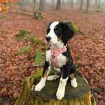 Ersteller:in Lena Profilbild