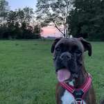 Ersteller:in Max Profilbild