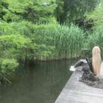 Ersteller:in Anna Profilbild