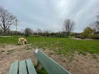 Hundeauslaufgebiet-Hundewiese Egmondpark-Bild