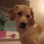 Ersteller:in Juanita Profilbild